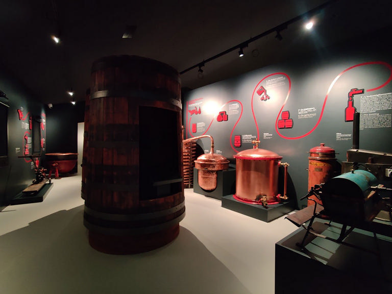 Museo Luxardo – immagine 13