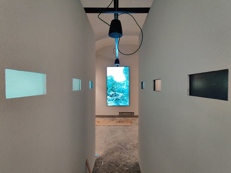 Palazzo Reale di Napoli – immagine 9